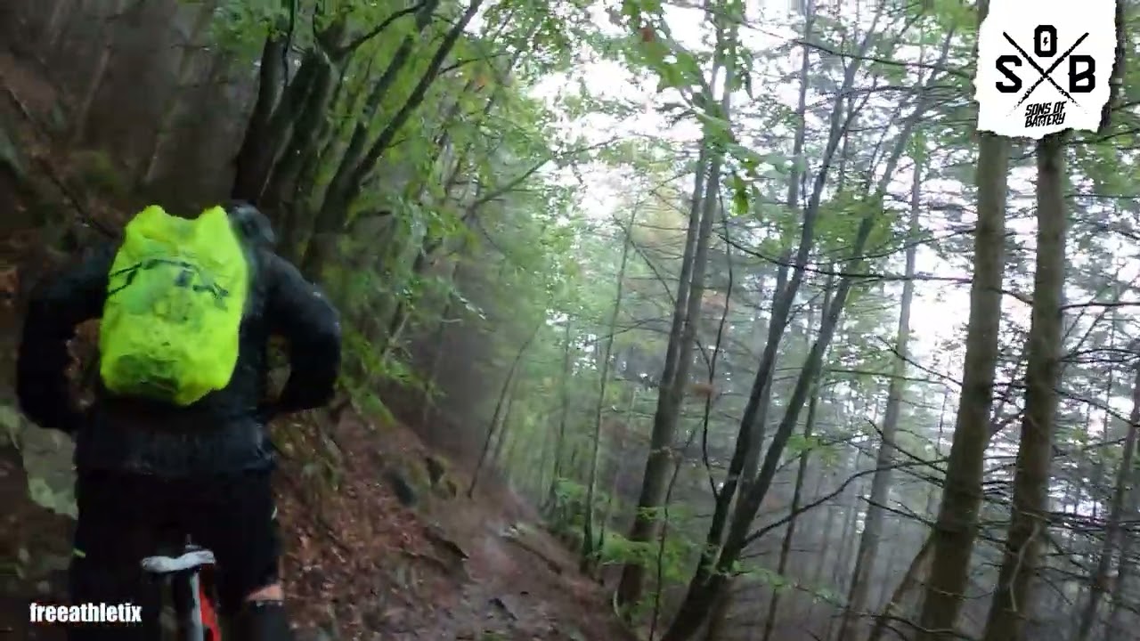 EMTB - Biken in der Pfalz - Lambrecht - Haibike AllMtn #sonsofbattery #haibike #freeathletix