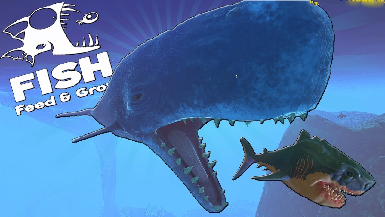 КИТ КАШАЛОТ ОХОТИТСЯ НА МЕГАЛОДОНА | Feed and Grow Fish