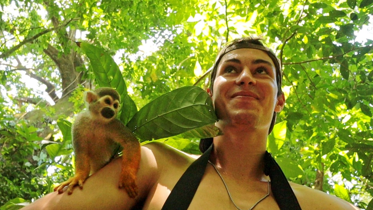 A Monkey Adopted Me in the Jungle