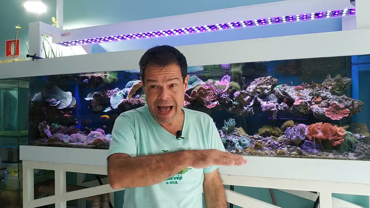 Mudando Para um Aquário Maior - Aquashow - Parte 172