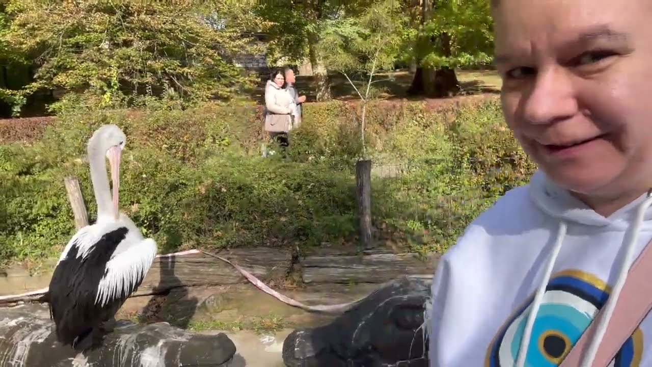 ZOO Zlin w Czechach   Karmimy płaszczki!