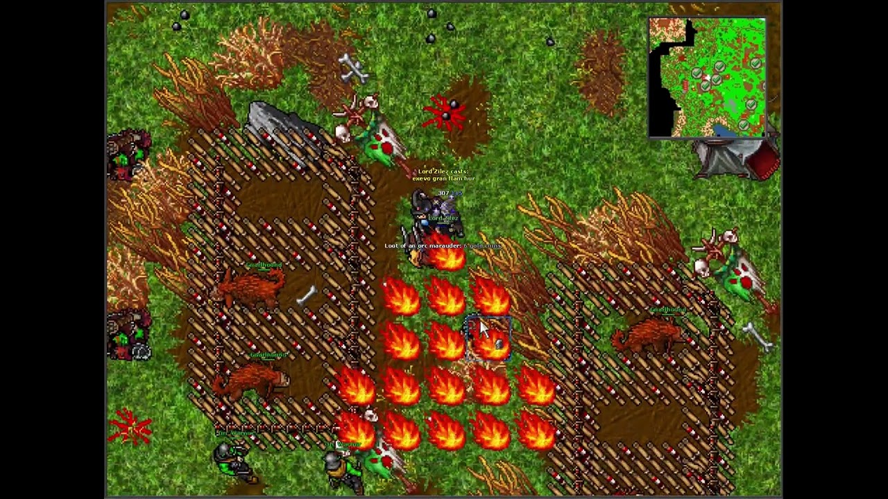 Tibia - Bestiary - Orc Marauder