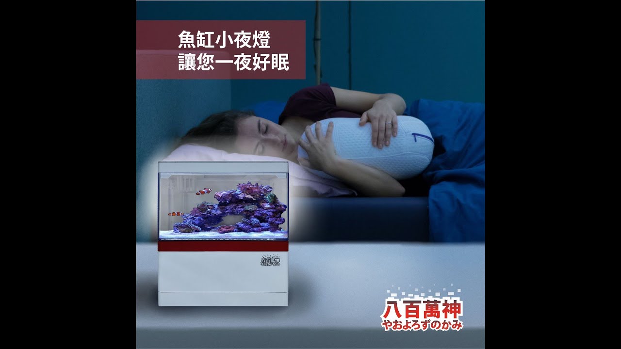 迷你底濾魚缸影片-12號-水族器材工作室