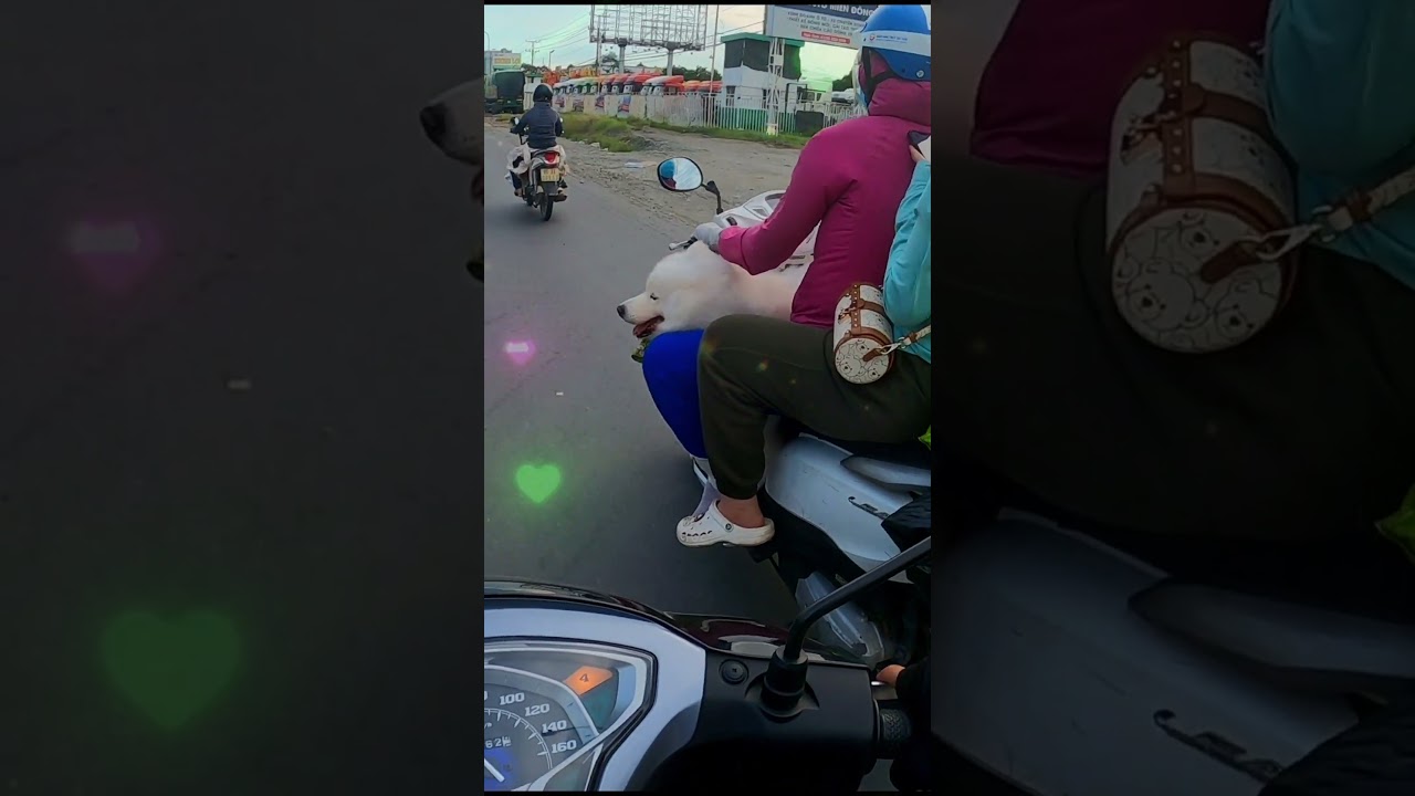 Bắt gặp 1 thanh niên đi cháy phố  