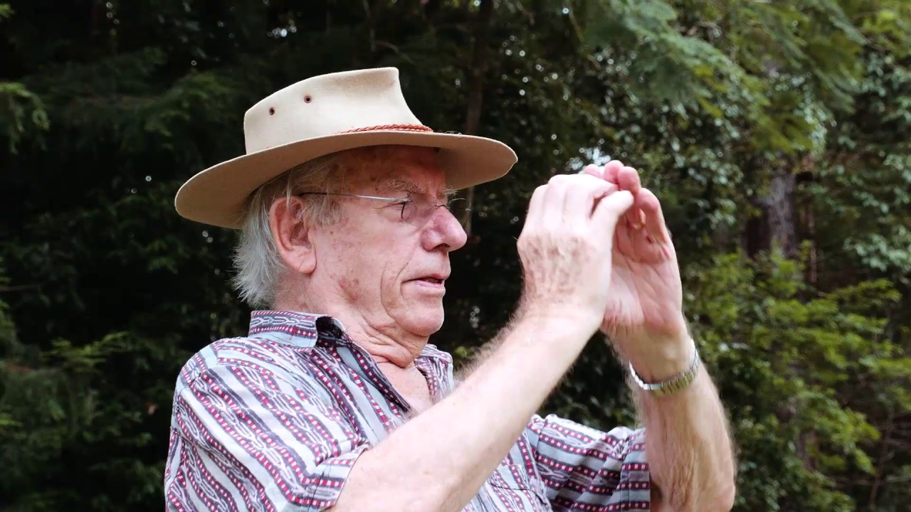 Australian Artist - Robert Lovett - produced by Colin Usher