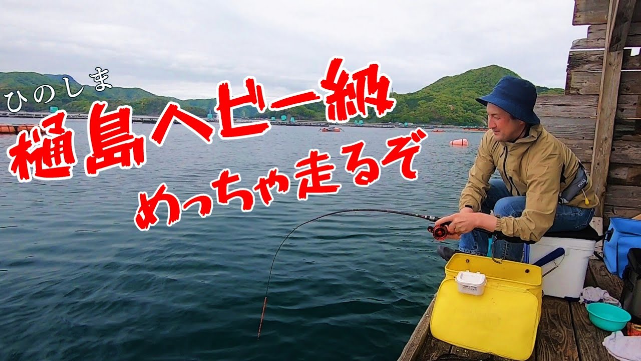 【かかり釣り】巨チヌ釣るならこの餌持っていけ！【昭丸】