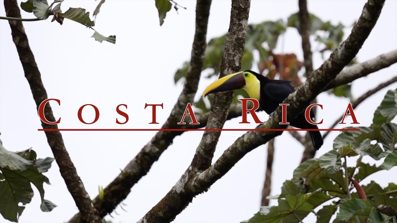 Up Close with Costa Rica’s Most Exotic Wildlife