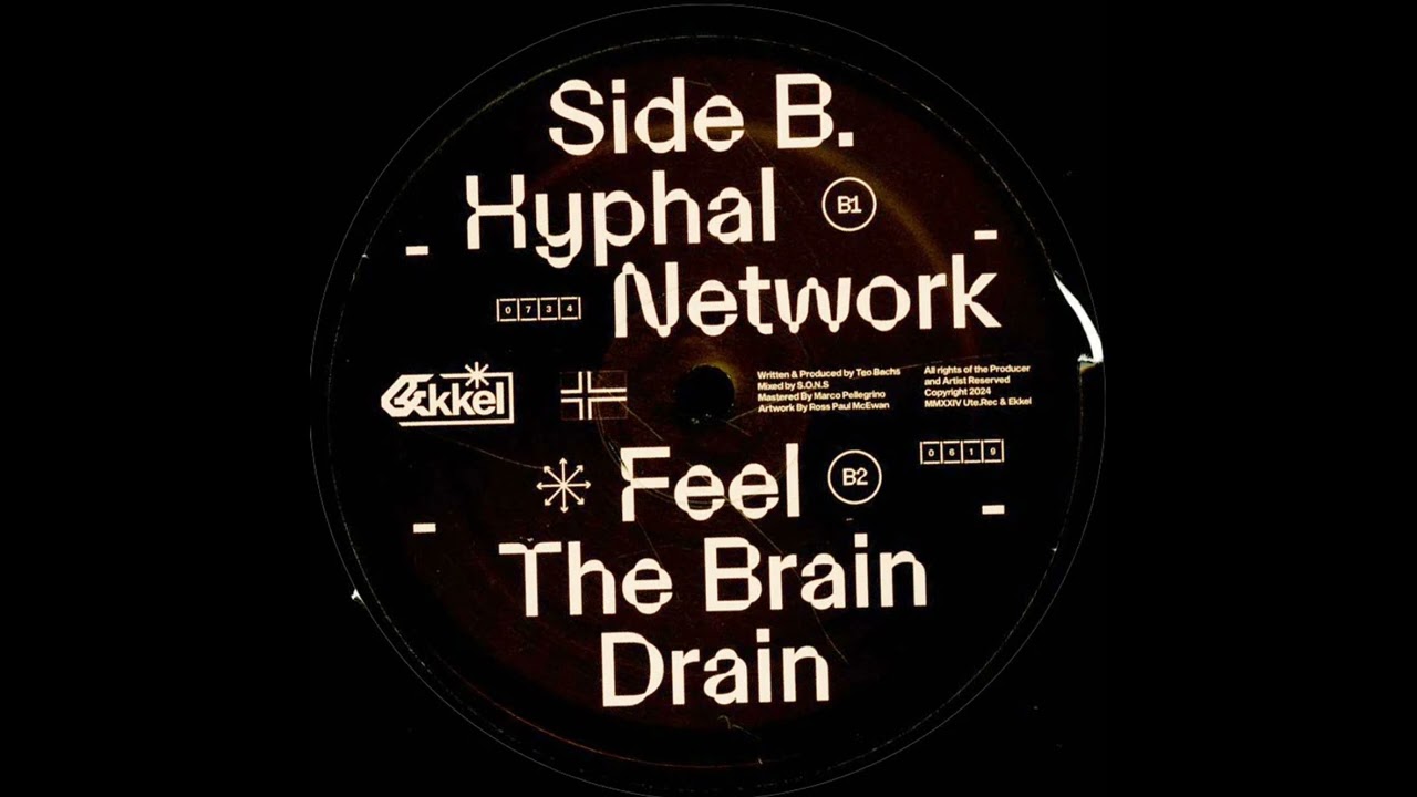 Ekkel - Hyphal Network