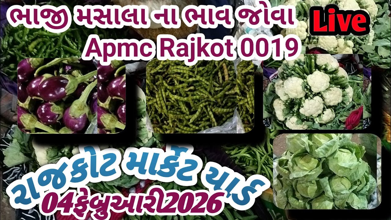 Rajkot market 04/02/2026 green vegetable price today 