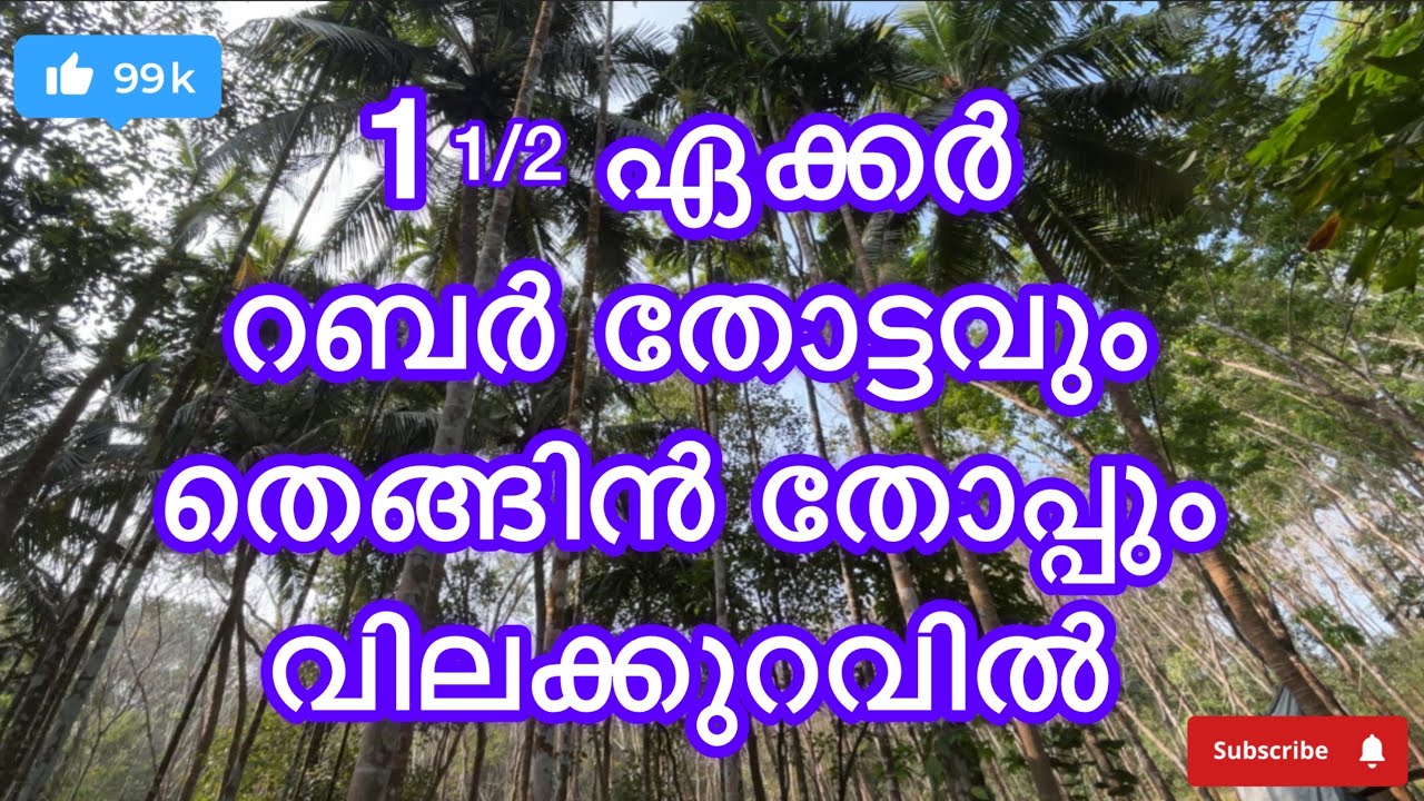#പാലക്കാട് ജില്ലയിൽ ലക്കിടി പഞ്ചായത്തിൽ #lowbudjet #realestate #palakkadproperties 