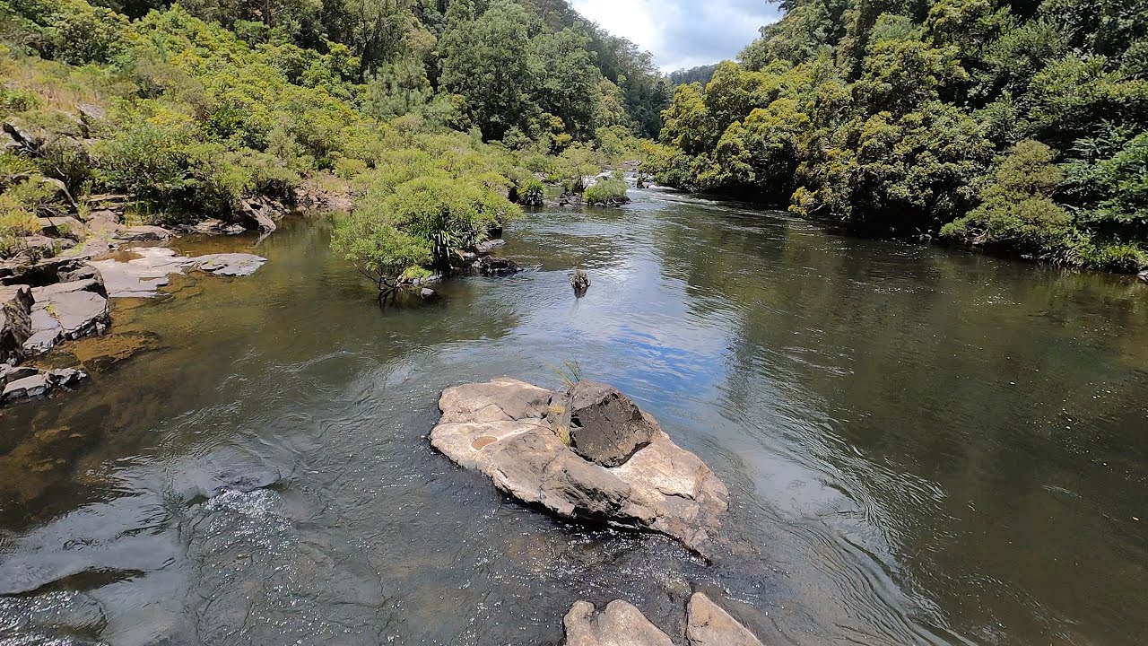 Coffs Harbour adventure Day 1