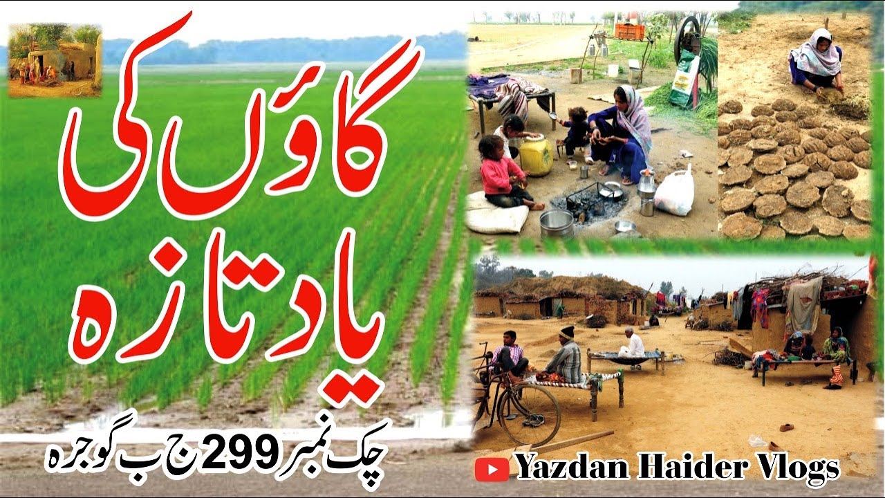 A short documentary on a Beautiful village 299 J B Roshan Abad Tehsil Gojra District Toba Tek Singh