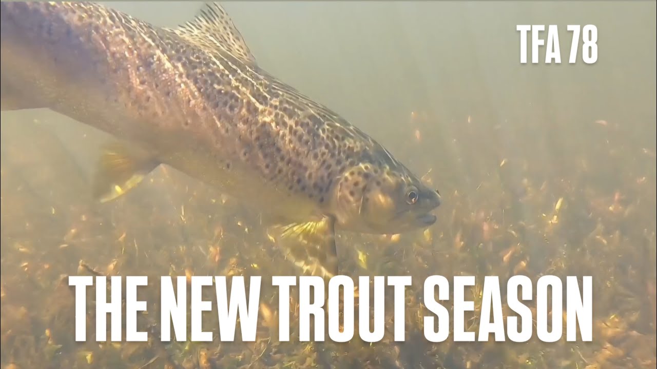 THE NEW TROUT SEASON! | Lakes, Lagoons, and Wilderness | TFA78