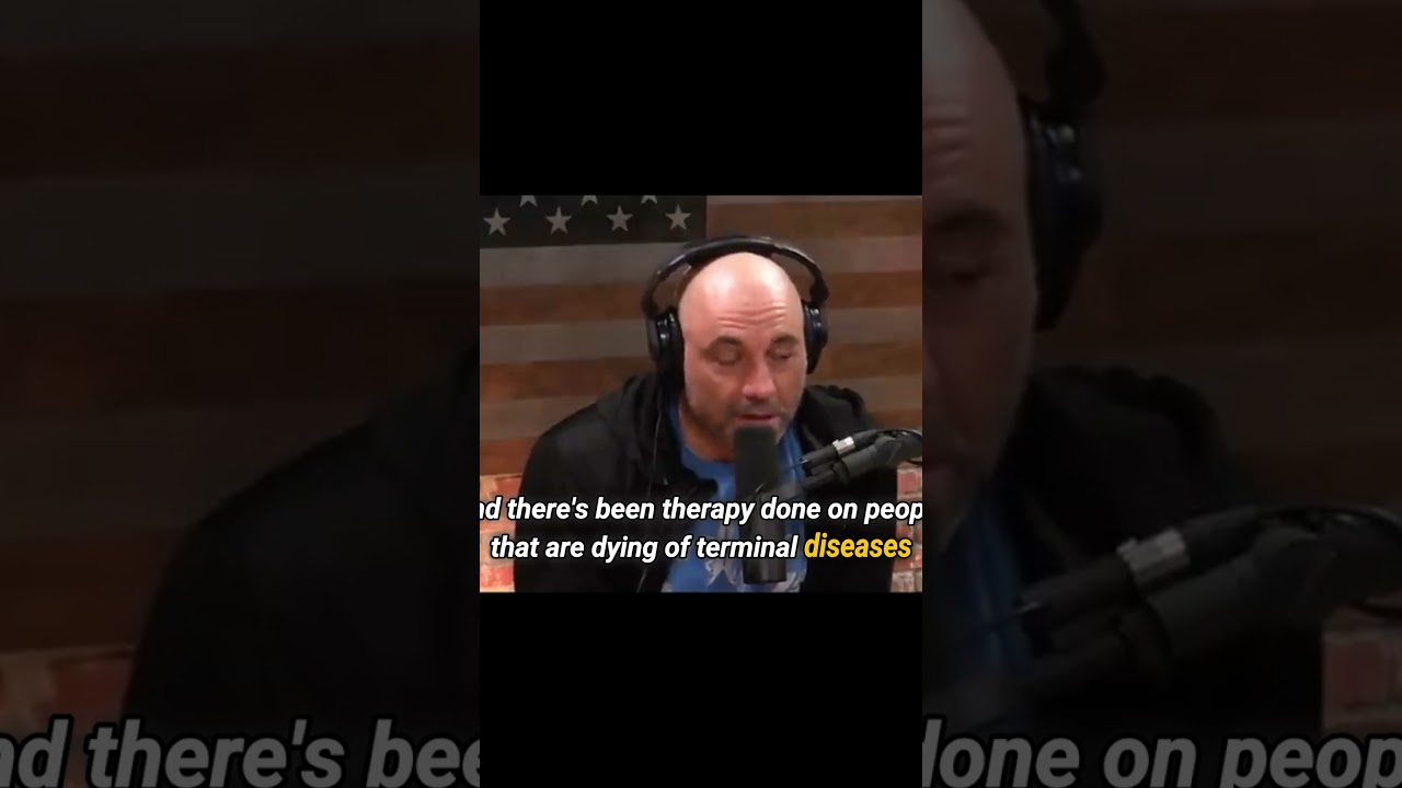 Ben Shapiro & Joe Rogan Discuss Cannabis & Psilocybin Benefits