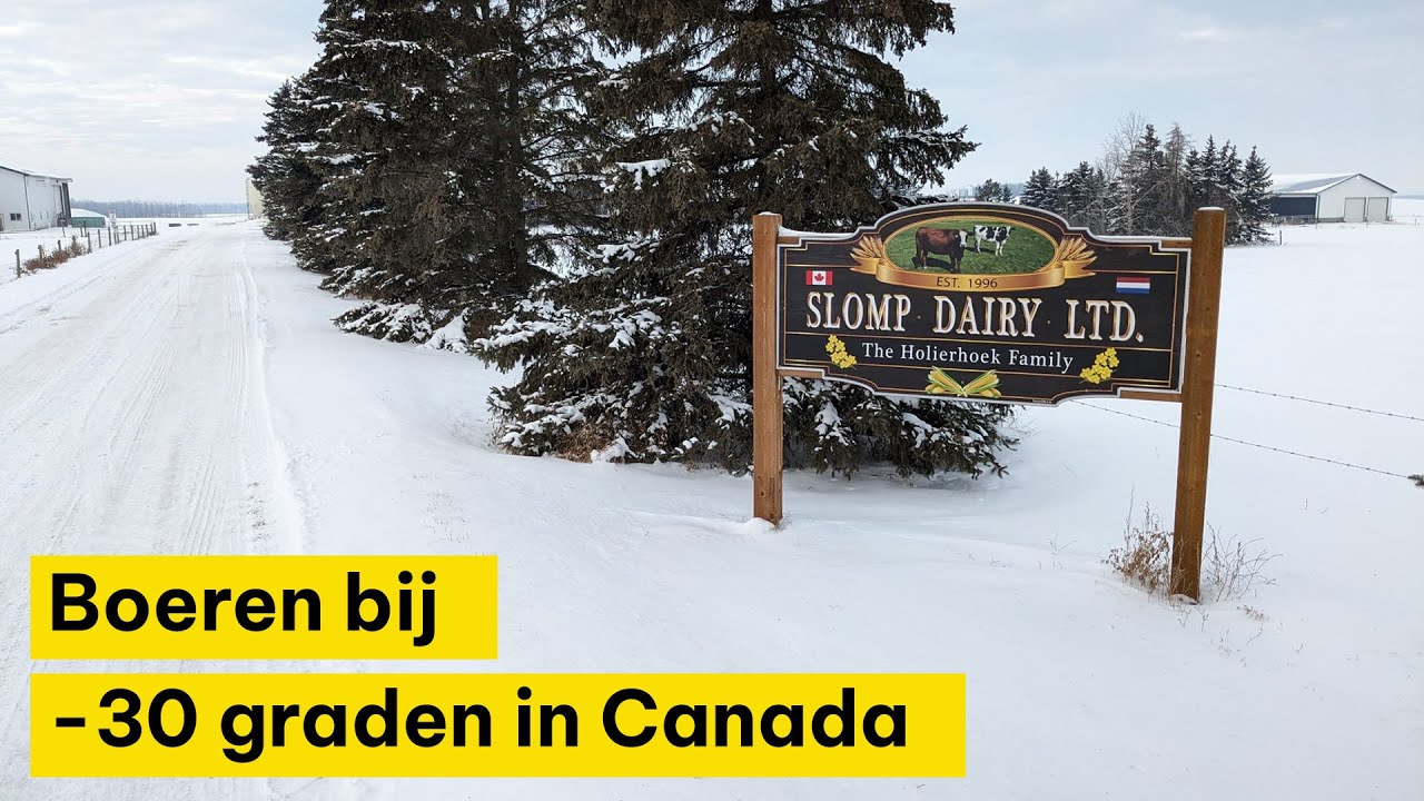 Boeren bij -30 graden in Canada