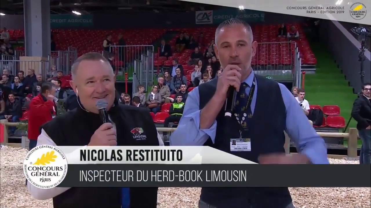 Concours Race Limousine 2019