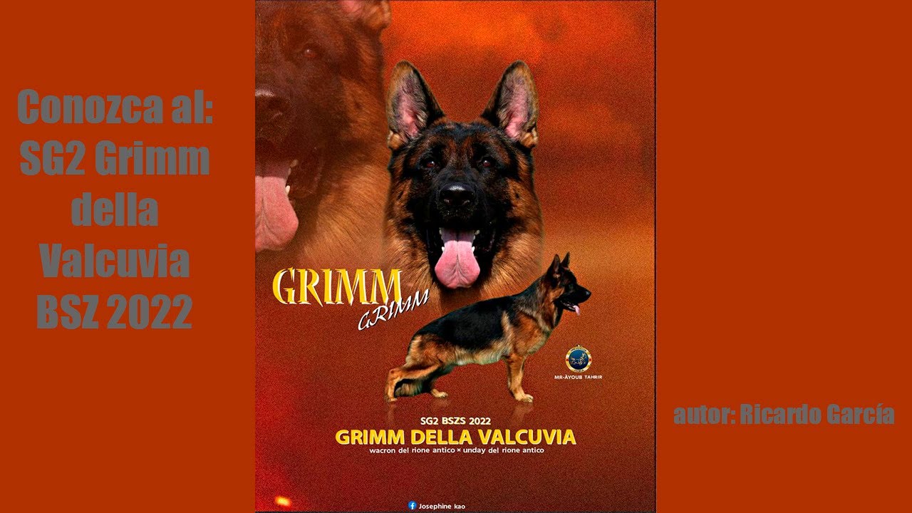 Grimm della Valcuvia