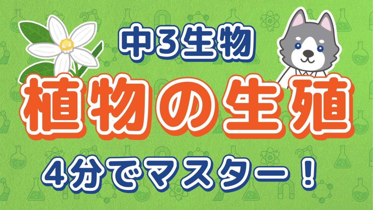 中3理科『植物の有性生殖』