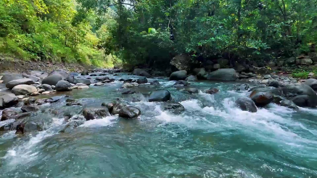 Relaxing River Sounds for Focus, Studying & A Peaceful Home 🌿 Relaxing Sleep Calming Anxiety