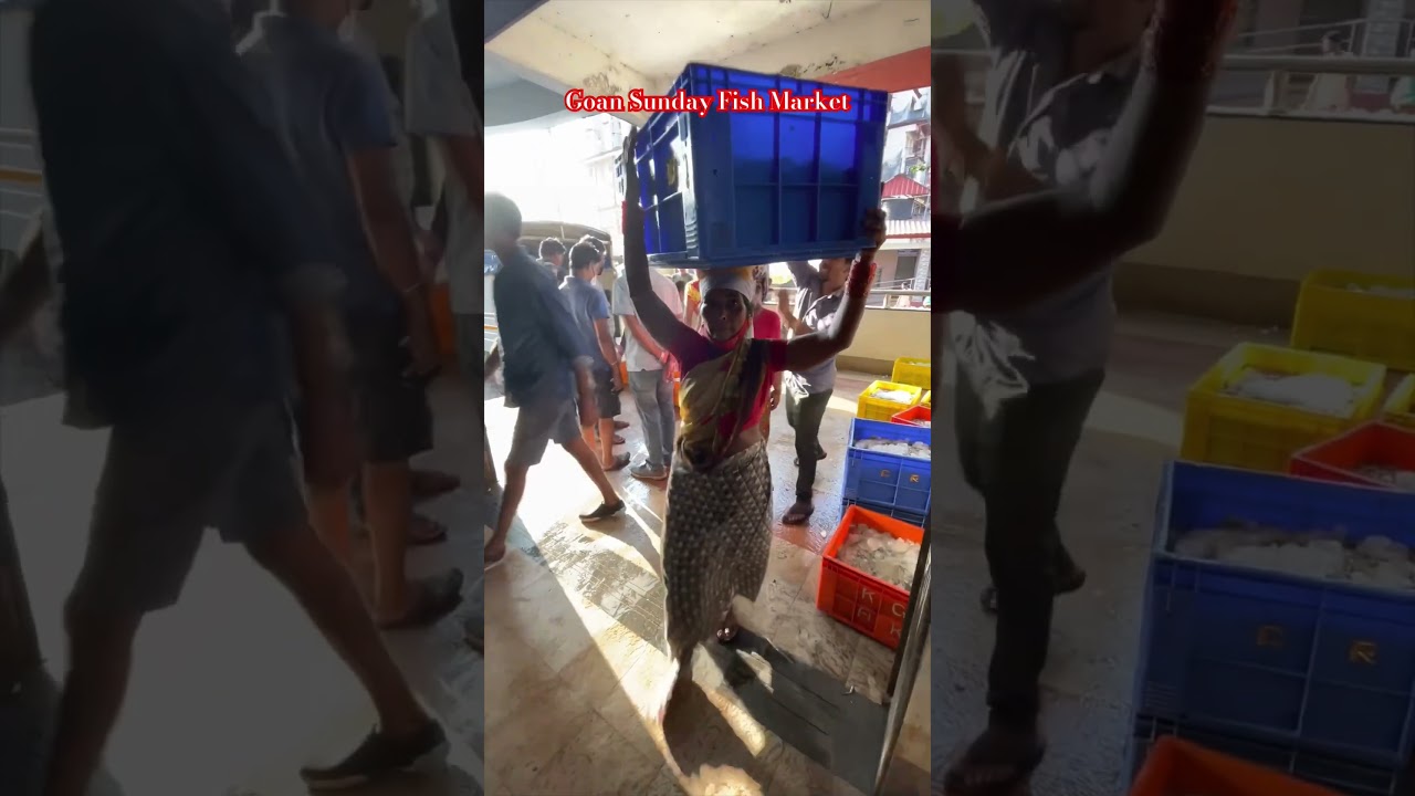 Missing Goa and Goan fish 🐟 | Famous Mapusa fish market and lots of live fresh fish #goan #shorts
