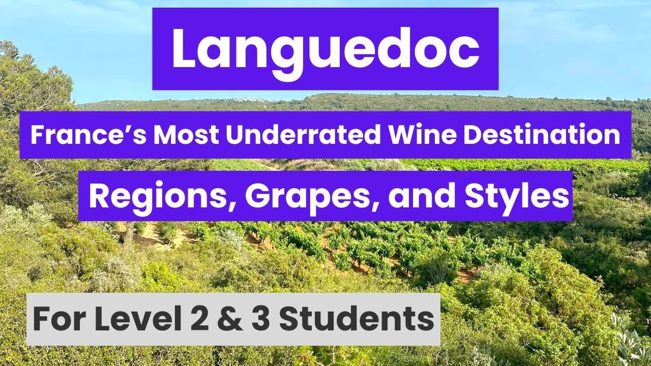 78. Languedoc Wines Explained: PDO vs IGP and Why Languedoc Is France&rsquo;s Most Underrated Wine...