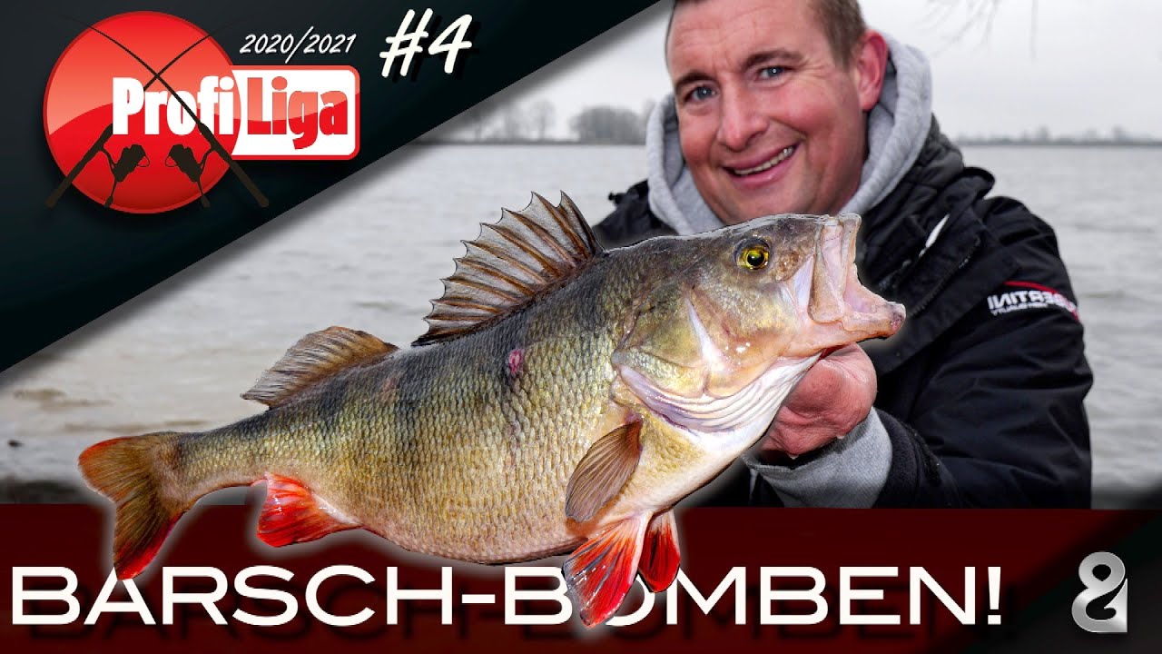 Dickbarsche vom Ufer! Profi-Liga S6F4