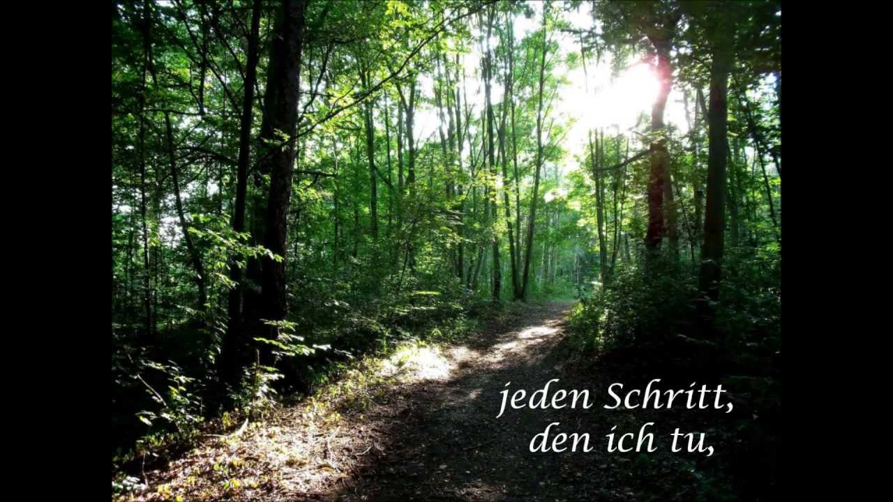 Psalm 139 Greg Long - I cannot hide from you (German Lyrics/Deutsche Übersetzung)