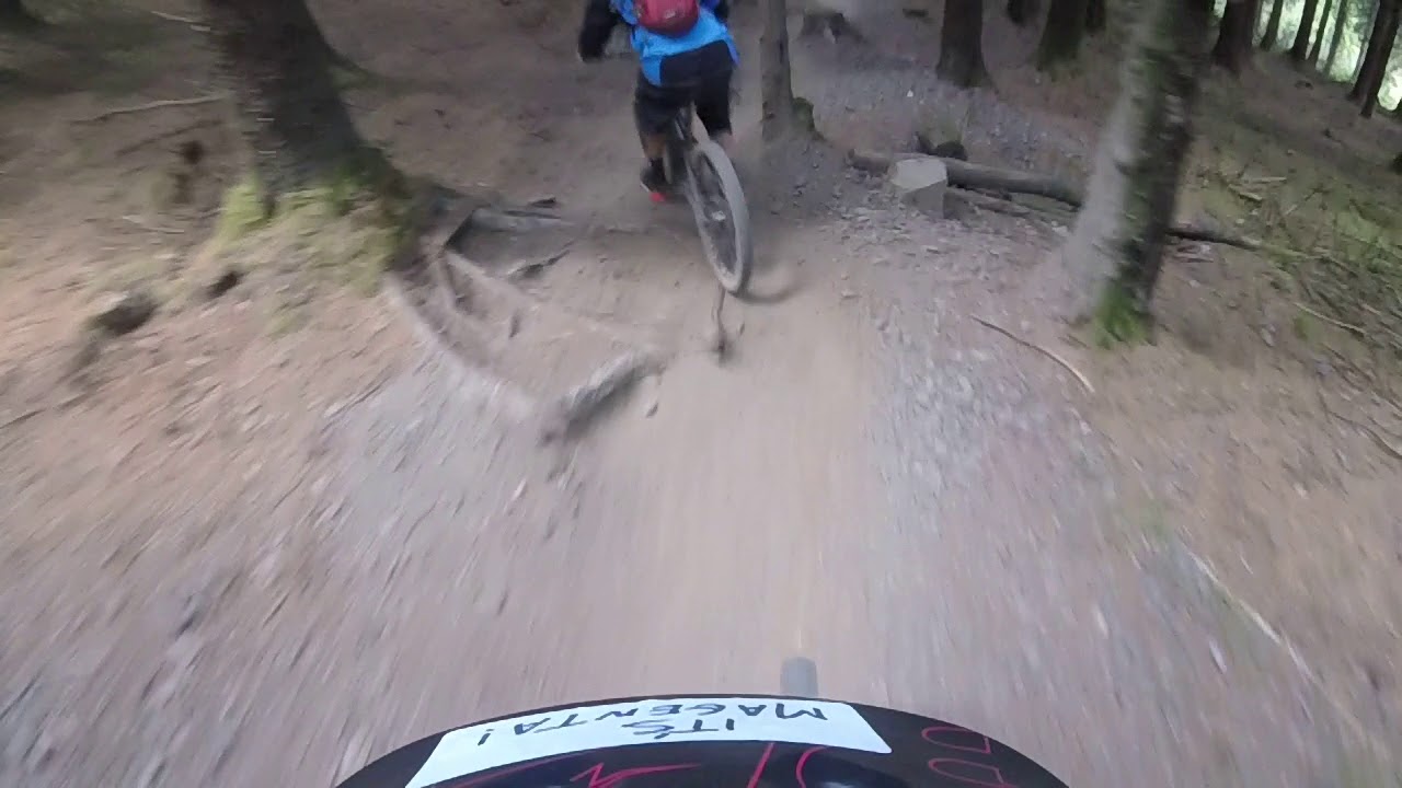 Bike Park Wales  - Vicious Valley (RED)