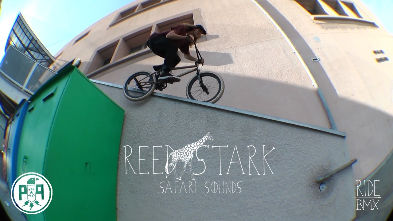 REED STARK'S 