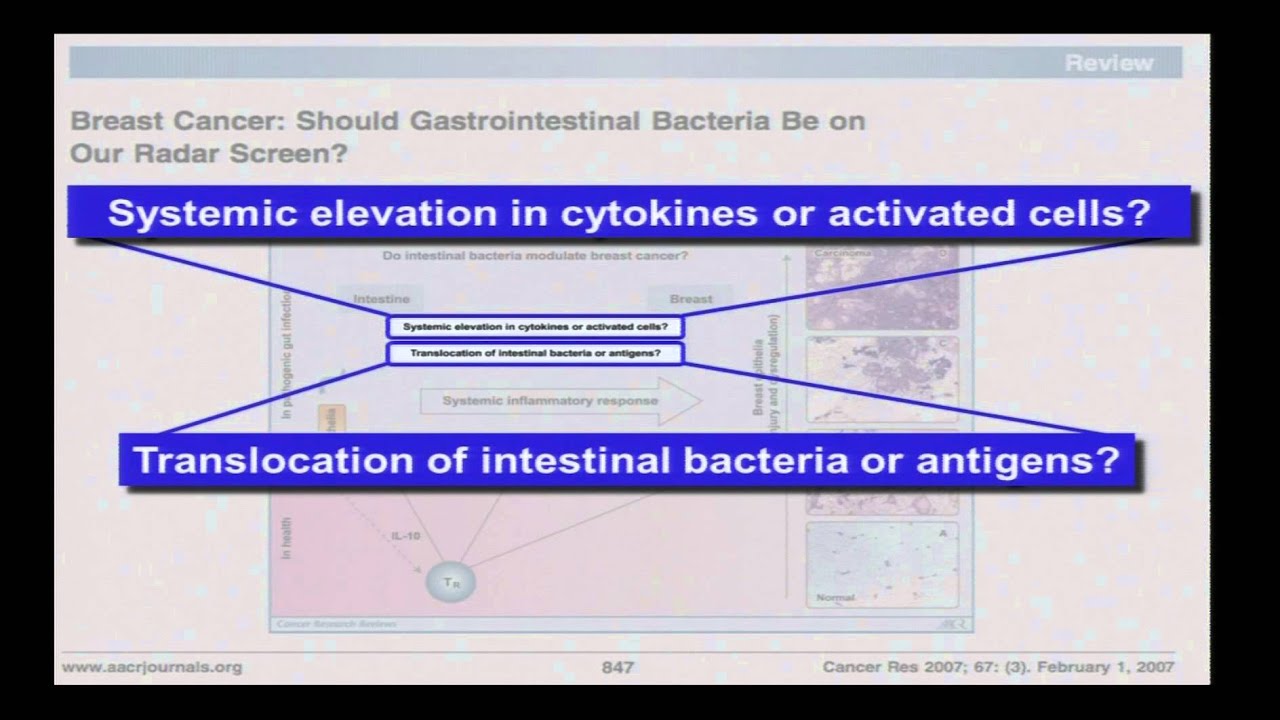 Wound Healing to Longevity: Microbe-Induced Immune Proficiency in Human Health - Susan Erdman