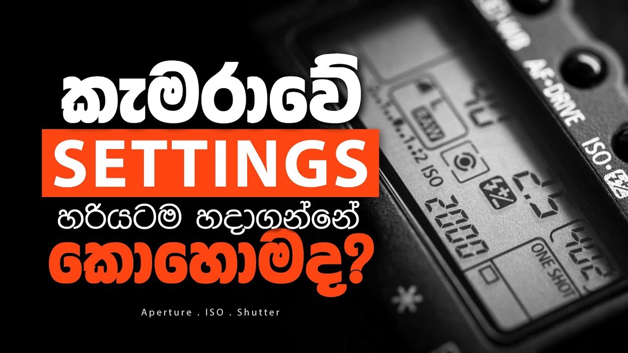 Basic Camera Settings For Photography Beginners