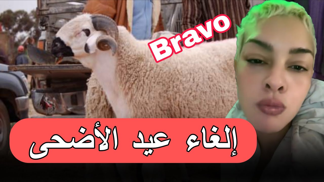 عاجل:غزلان دخلت طول و عرض في الشناقة ، إلغاء عيد الأضحى في المغرب
