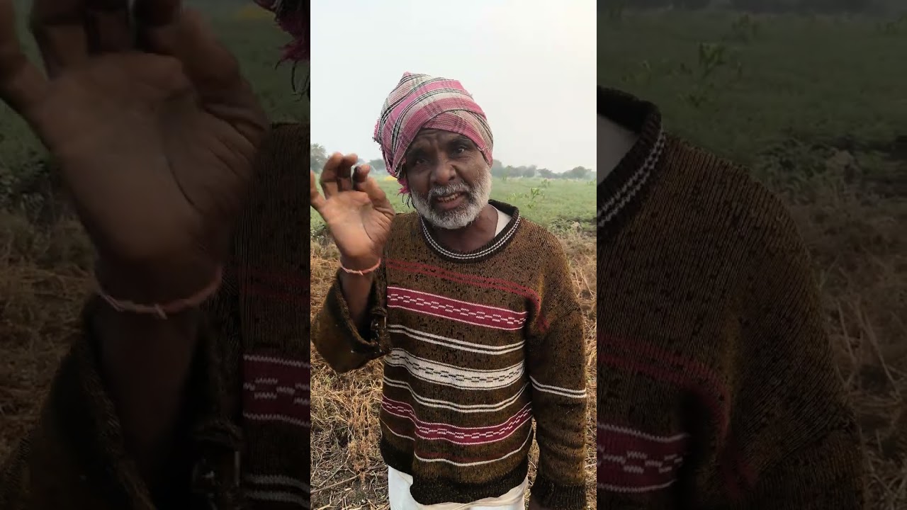 पिढ्यांमधील अंतर… अनुभवाच्या शब्दांत