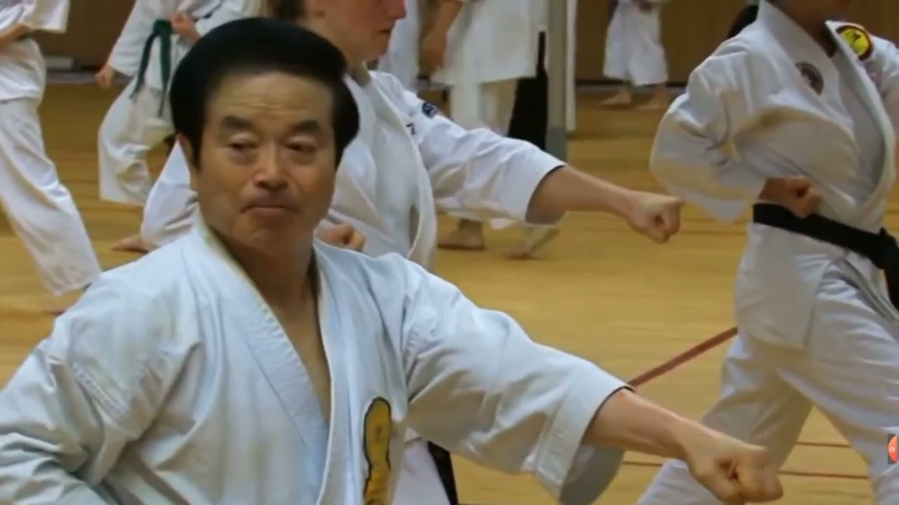 IMAF international Karate Seminar with Higuchi sensei- Hangetsu and kumite review