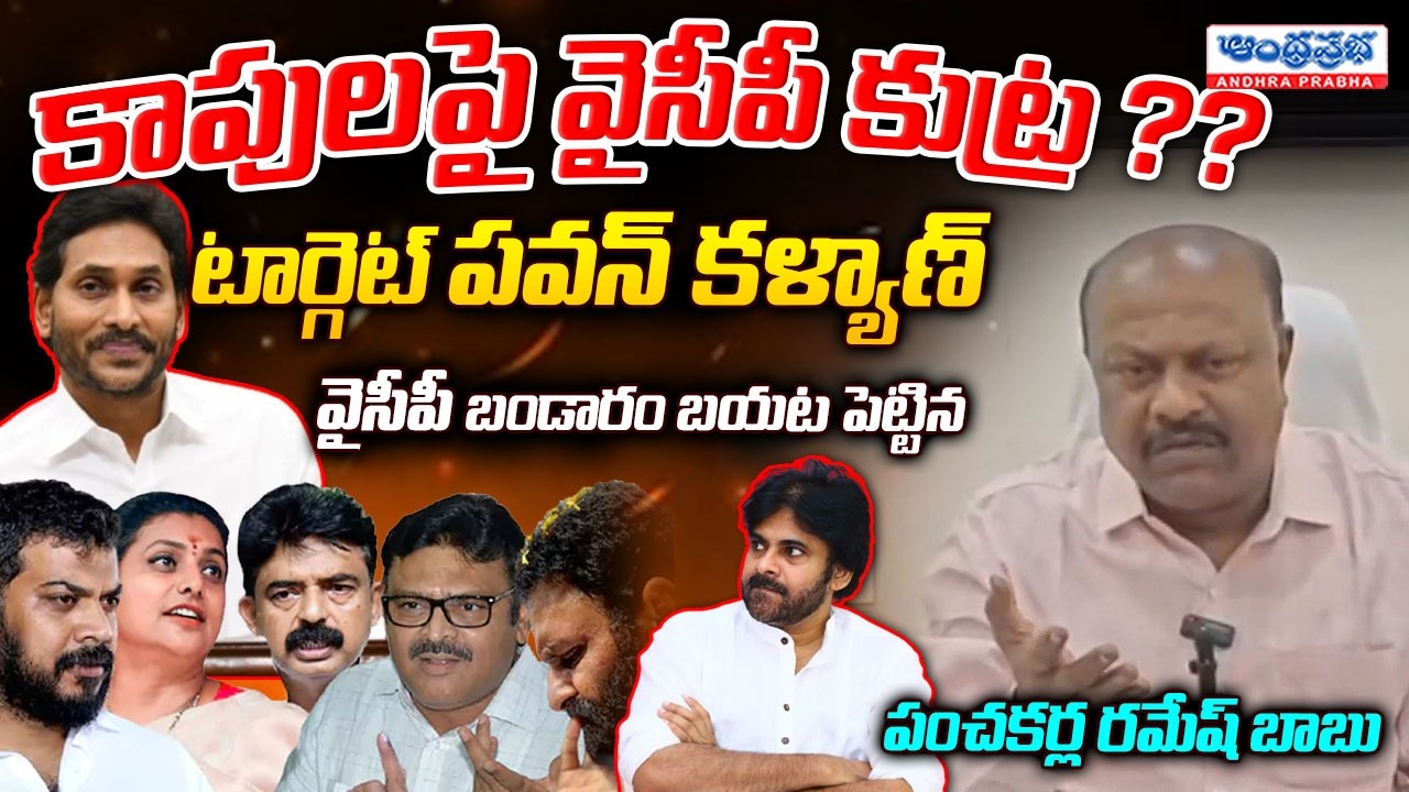 MLA Panchakarla Ramesh Babu Comments On Kapu Leaders | YSRCP Kapu Leaders | Pawan Kalyan | Janasena