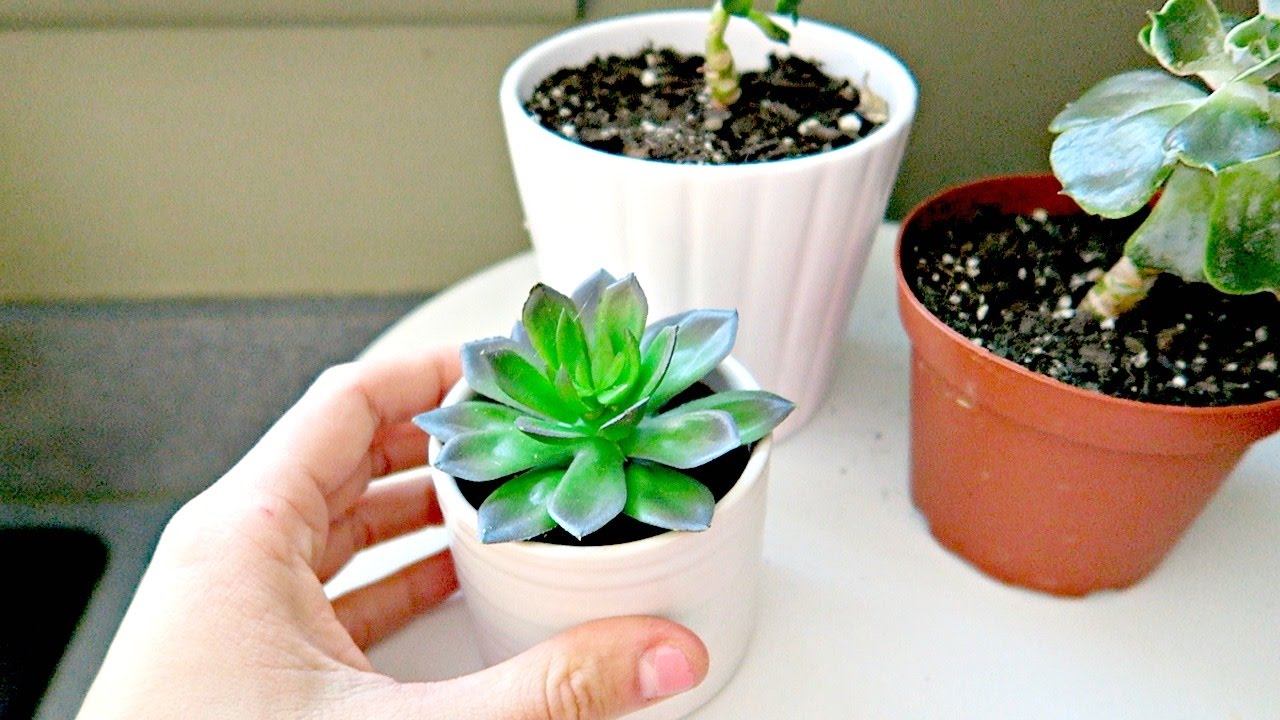 Simple Spring Decor for the Minimalist! | Jaimie from Millennial Moms