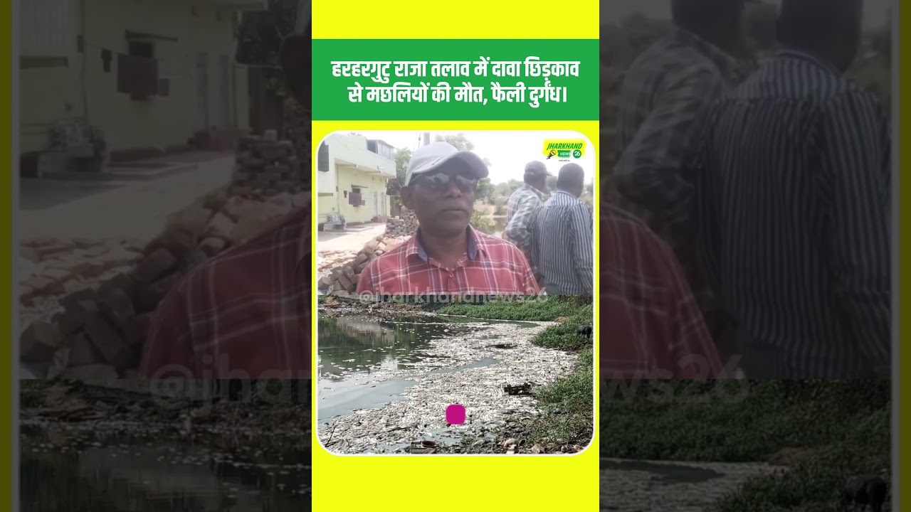 हरहरगुटु राजा तलाव में दवा छिड़काव से मछलियों की मौत! WaterPollution #LocalNewsIndia #FishDeath