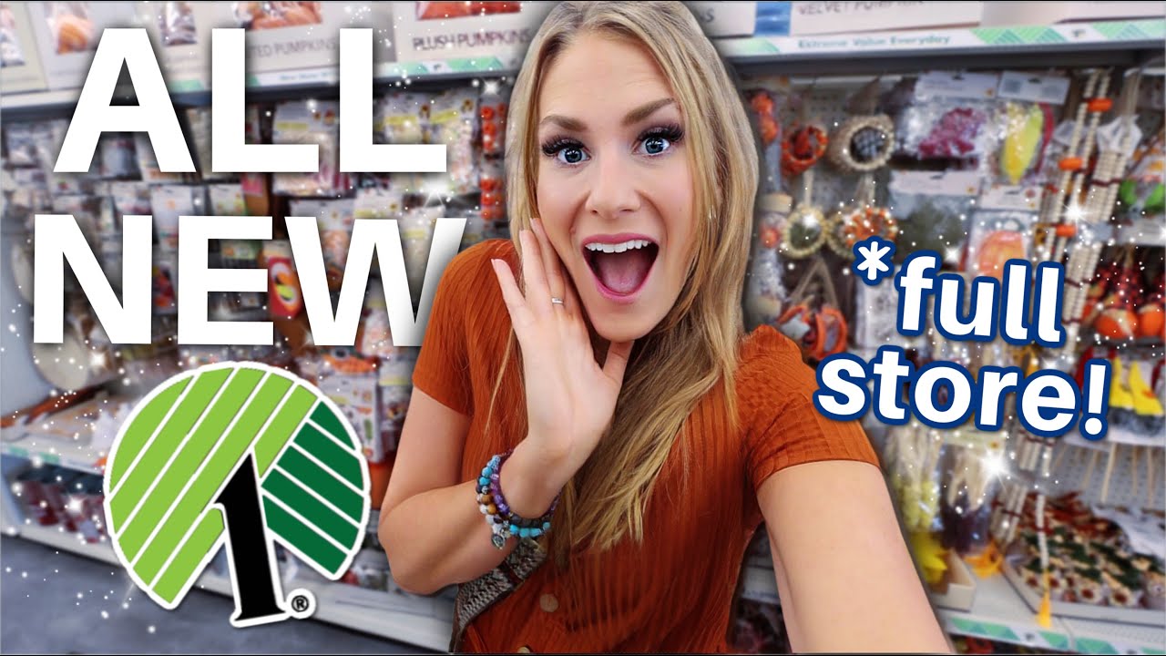 IT HAPPENED! 😱 EVERY DOLLAR TREE SECRET YOU NEED TO KNOW THIS FALL!✨🧡