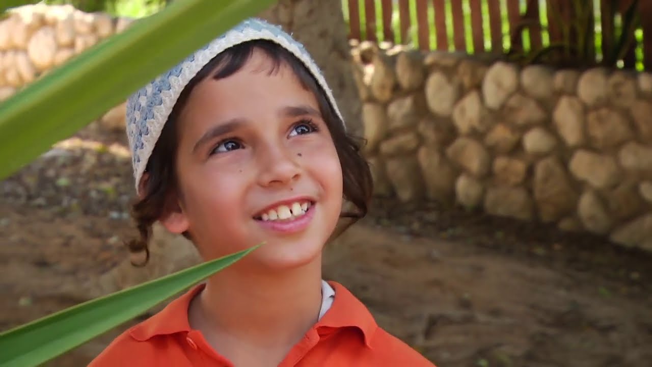 ניידת החלומות - ארבעת המינים