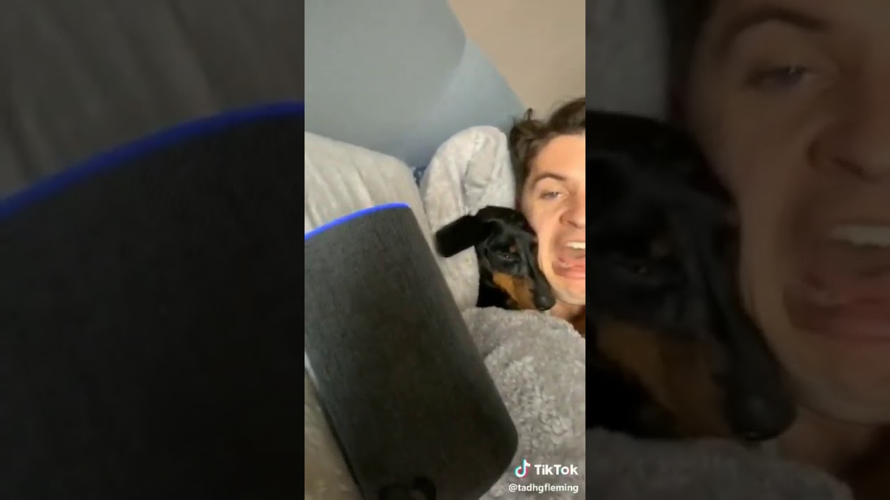 ALEPSA - Tiktok Compilation @tadghfleming