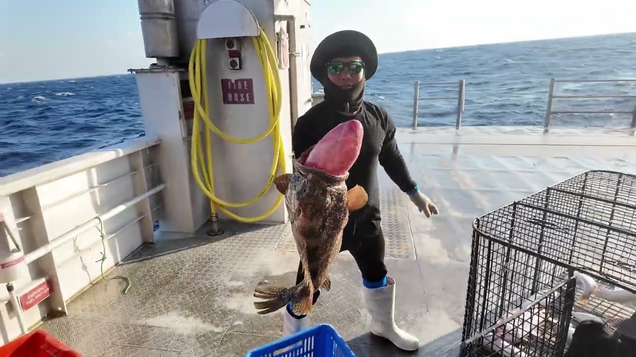 Tk's best trip yet! The boys come across more Indo Long Lines and more monster groupers