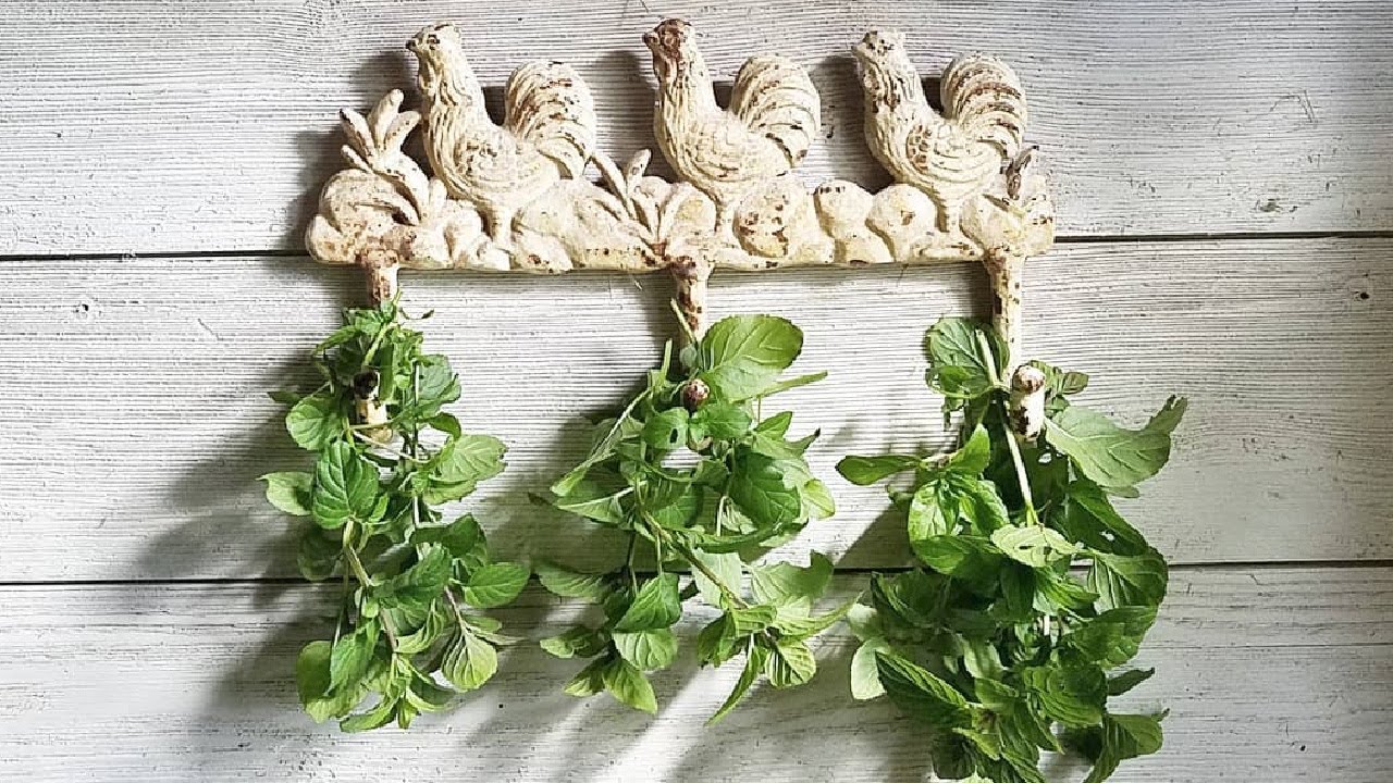 Herbs for Hens&trade;: Five Herbs Your Chickens Will Love