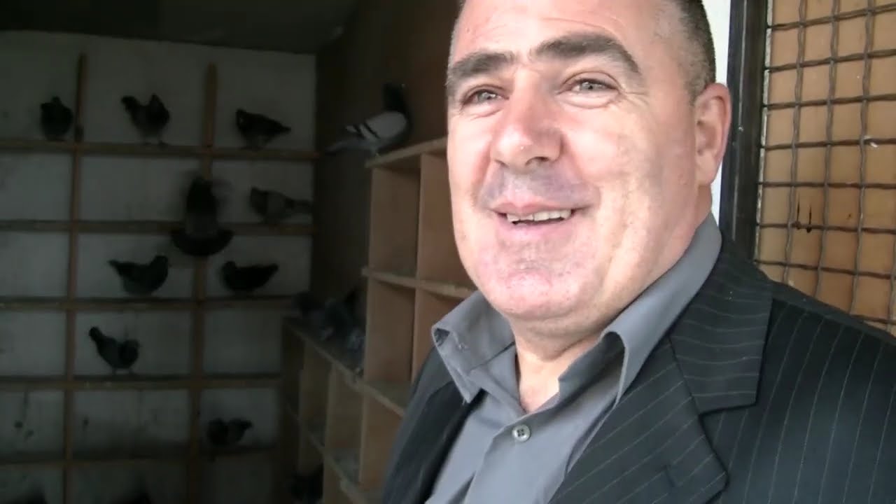 Golubarstvo vo Makedonija 1