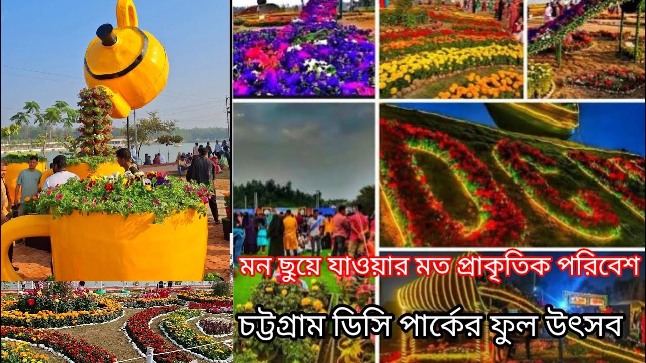 শেষ হতে যাচ্ছে চট্টগ্রাম ডিসি পার্কের দেশ বিদেশি ফুলের বাহার ফুল উৎসব। ঘুরে আসুন পরিবার নিয়ে। 
