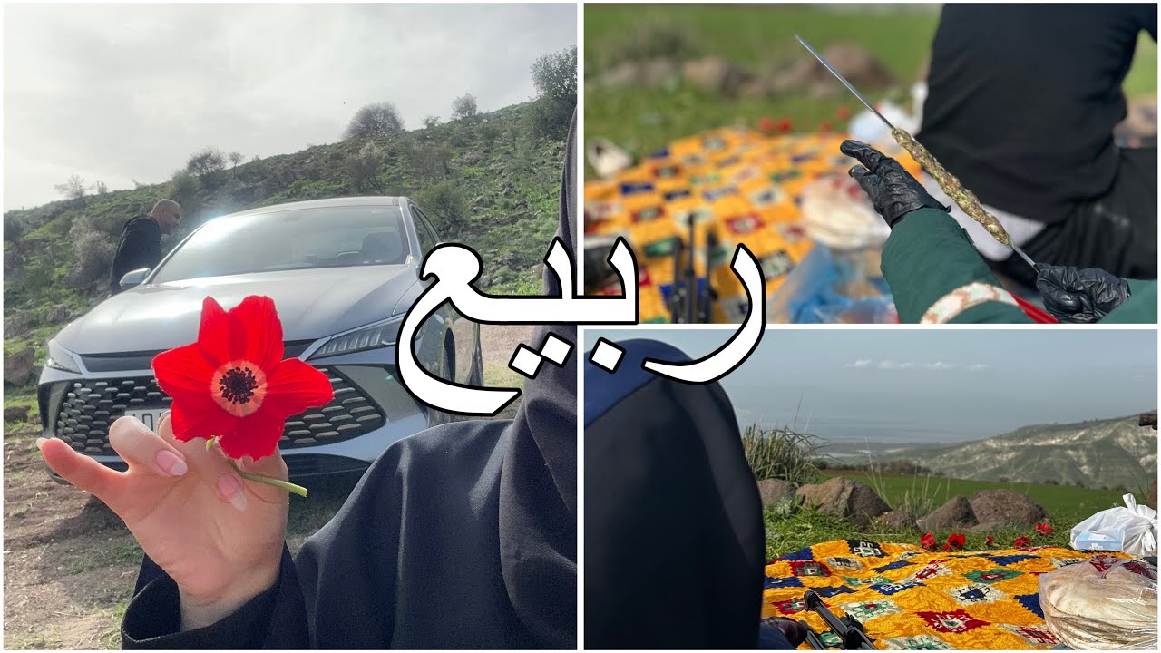 فلوق ربيعي | طلعة وشوي ورحلة
