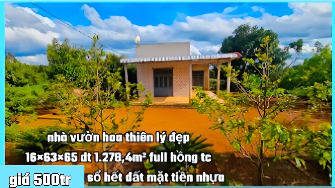Nhà vườn đẹp mặt tiền nhựa lớn dân cư 16×63×65 nở hậu dt 1.278,4m² full hồng thổ cư 500tr bao sổ