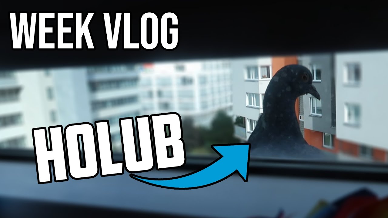 WEEKLY VLOG #1 VITEJTE V MÉM CHAOSU