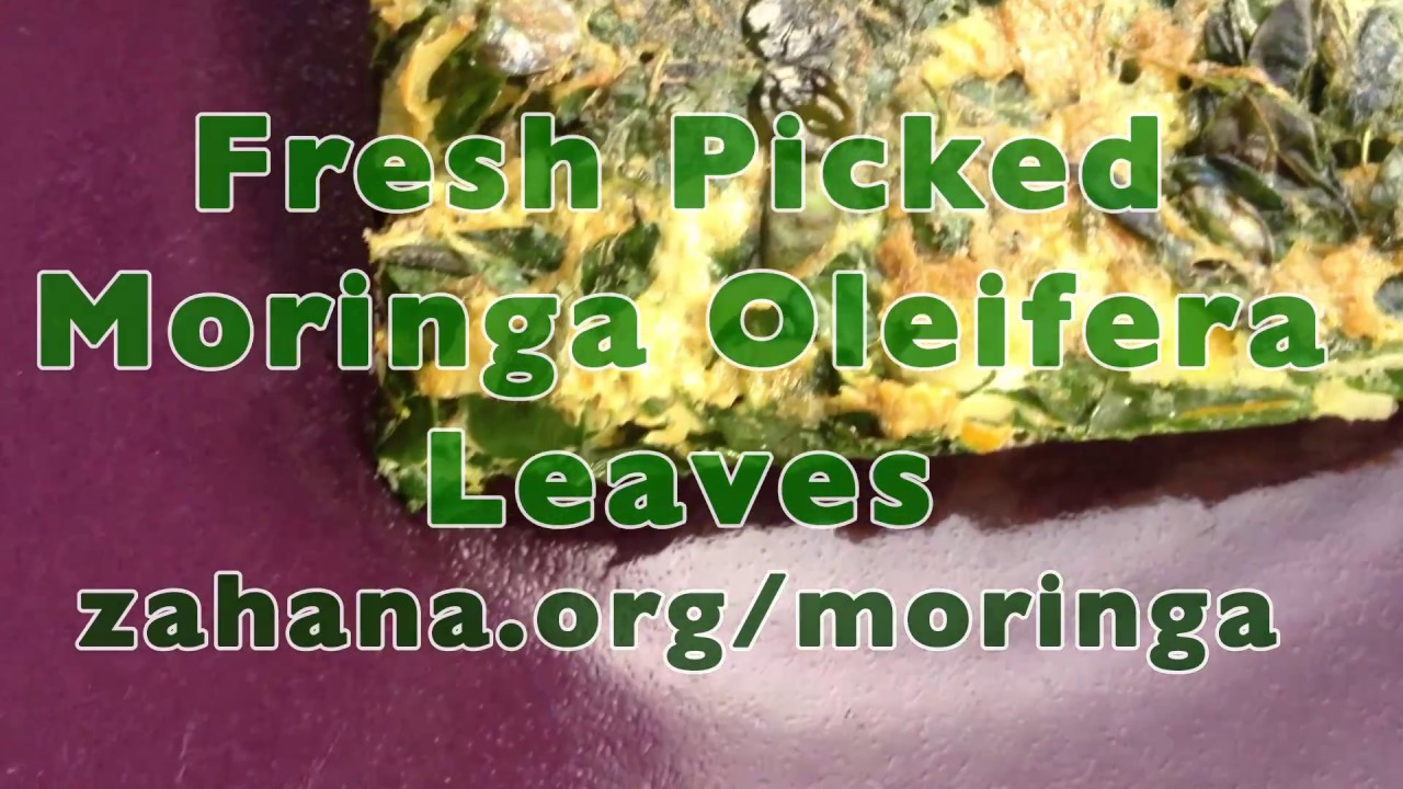 How to cook a tasty Moringa leaf omelette/omelet - by Zahana