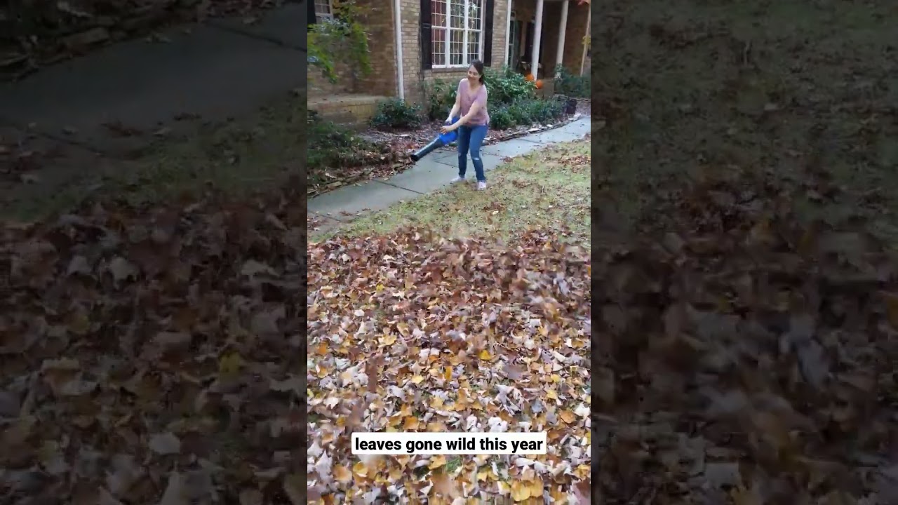 leaves gone wild 🍂 #fall #leaf #yardwork #cleaning
