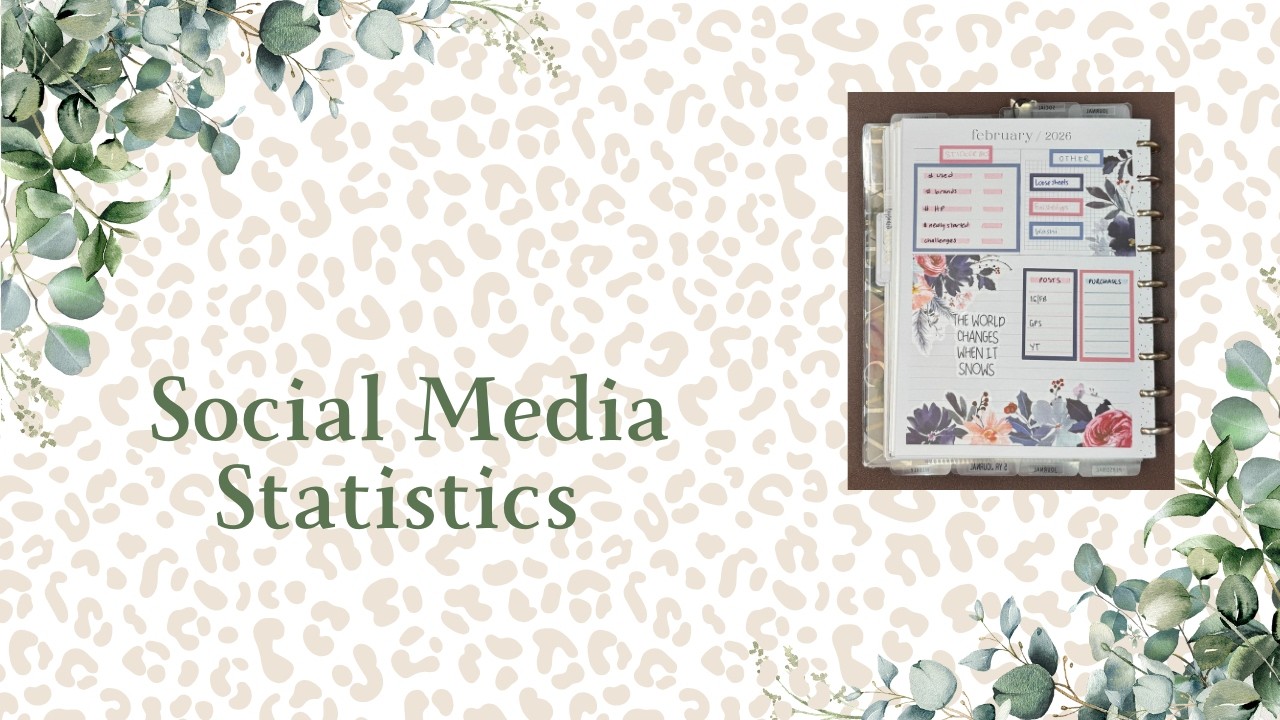 Social Media Statistics Tracker: February 2026 (Music only - no narration)